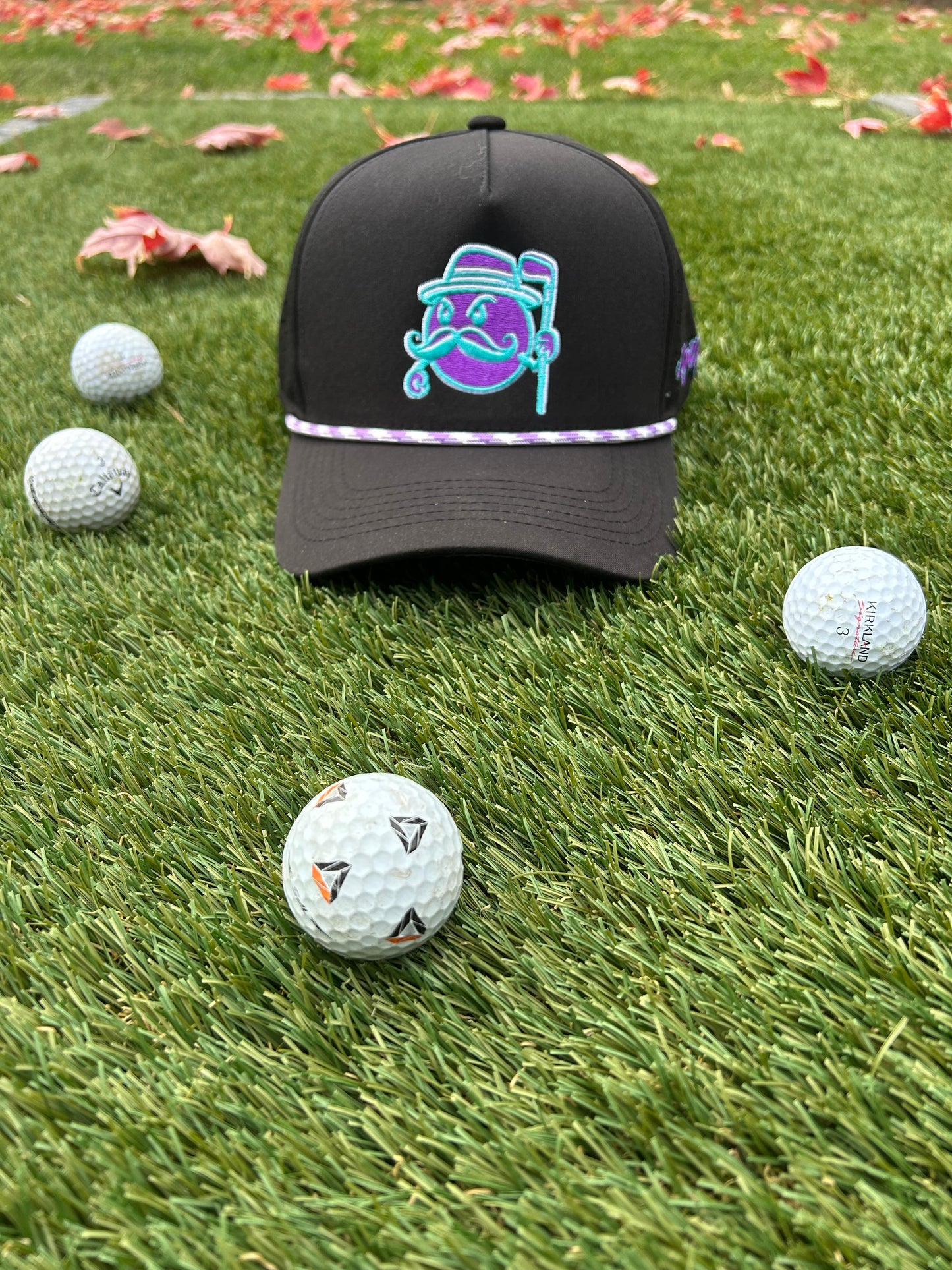MLGN "The Grape" Rope Snapback Hat